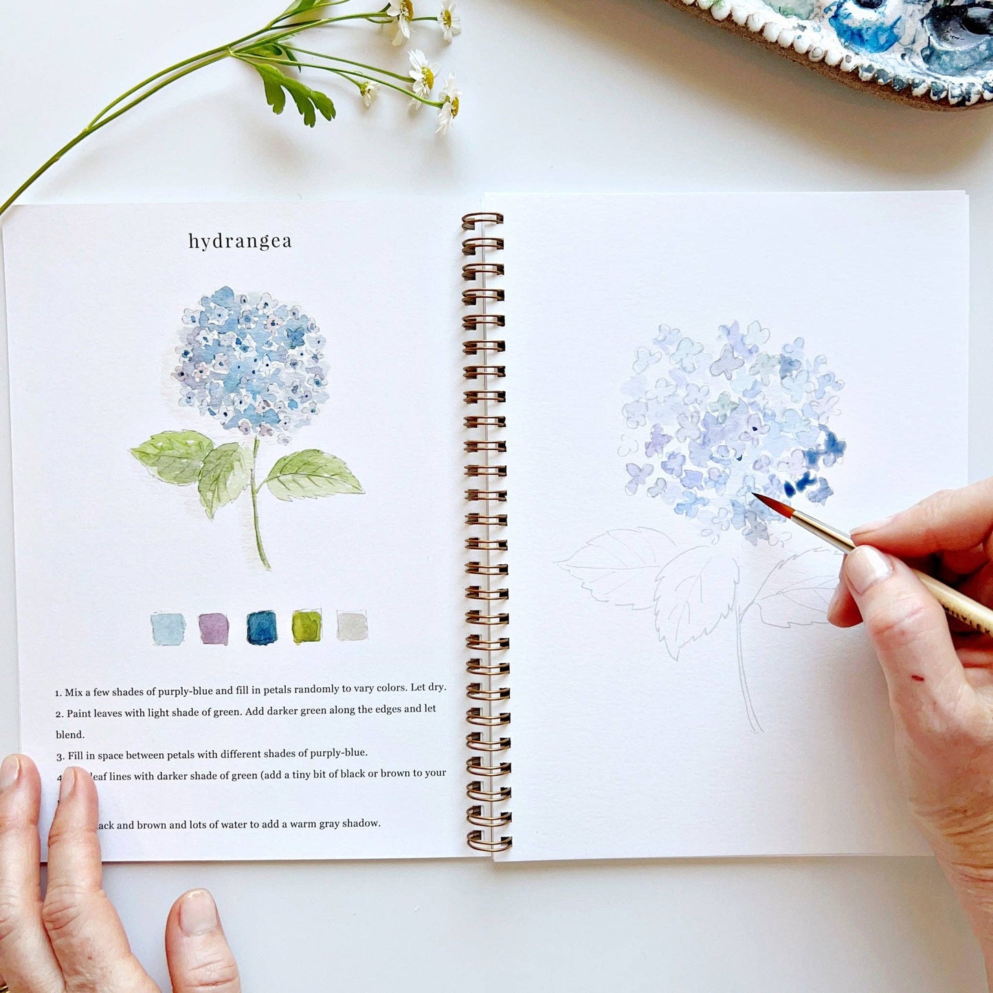 Flowers watercolor workbook presale