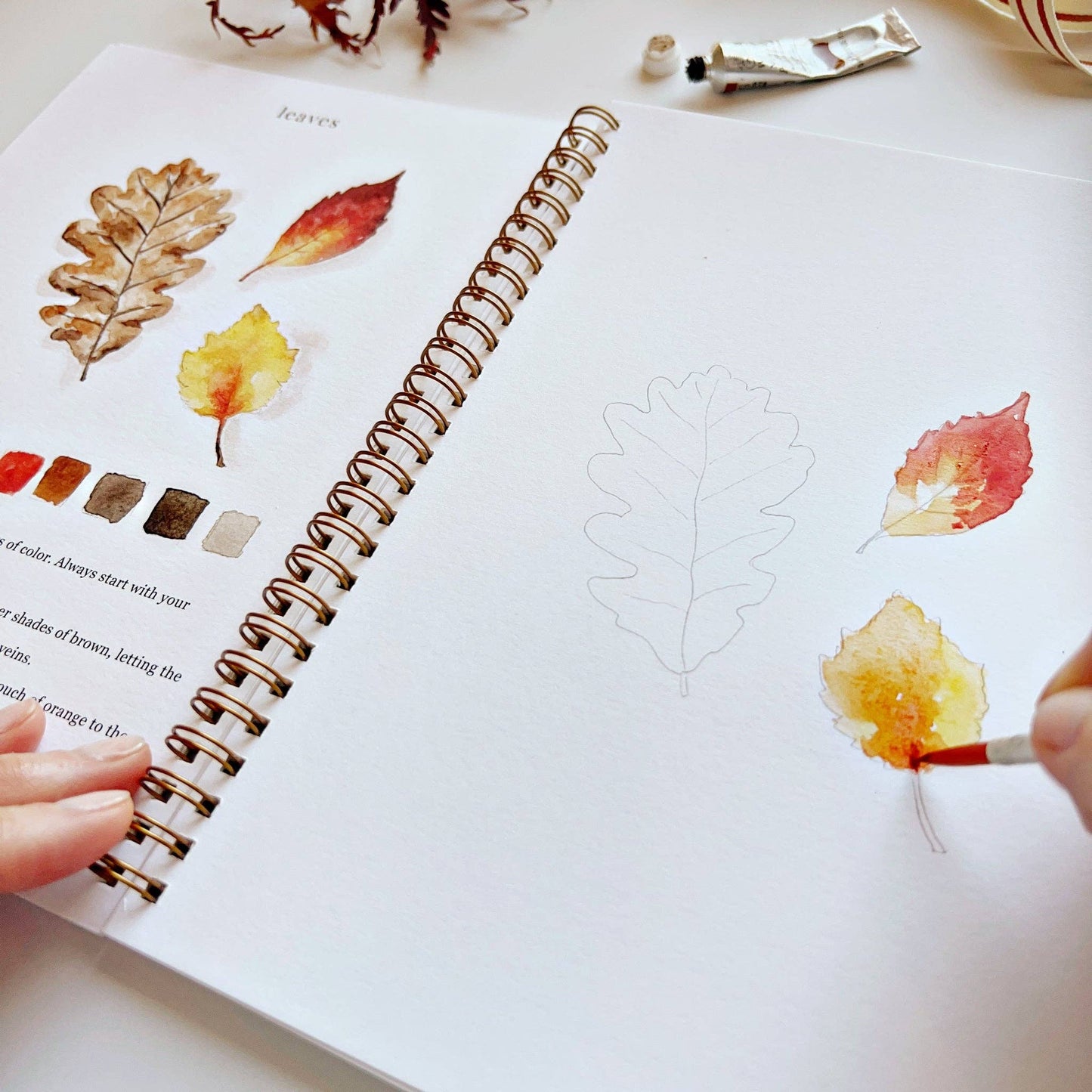 Autumn watercolor workbook presale