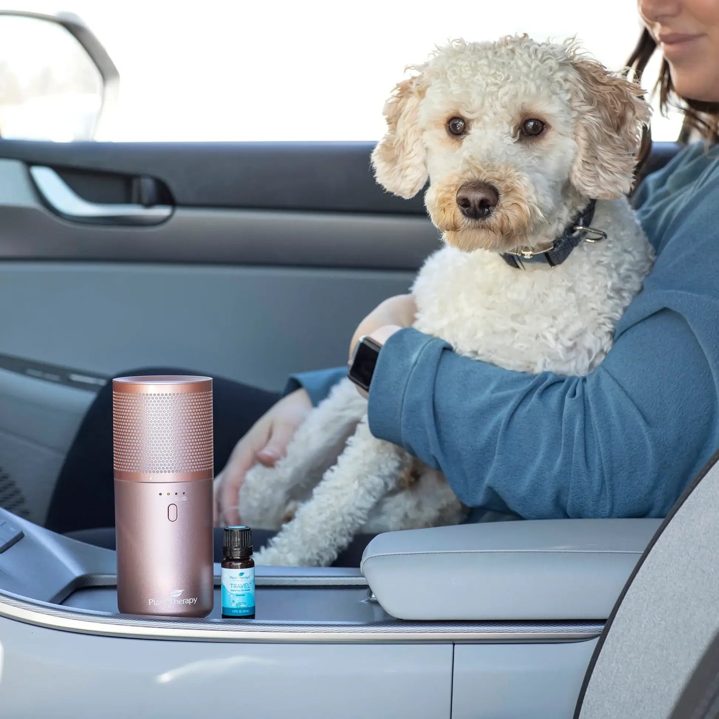 Wood Grain Portable Diffuser w/Travel Pack