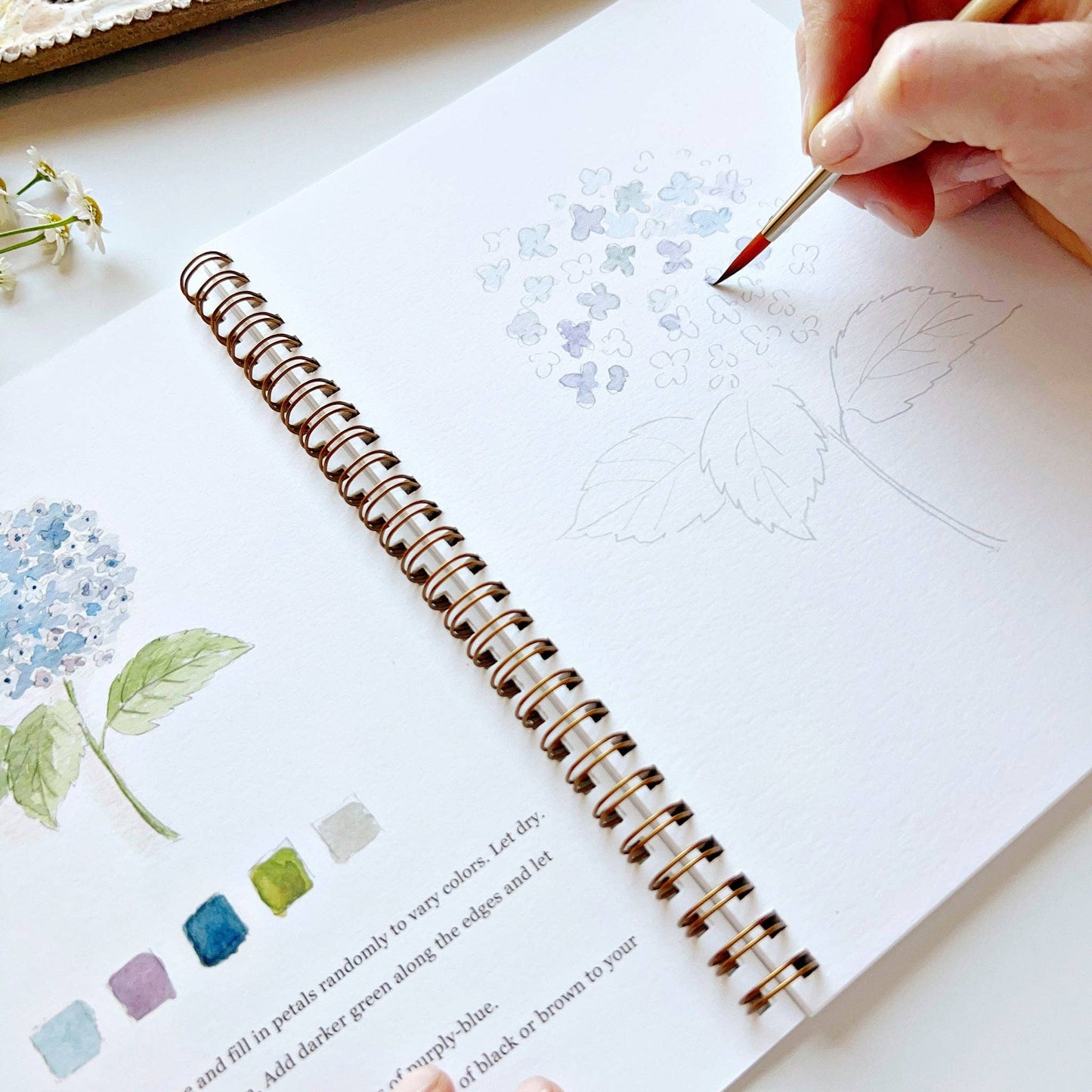 Flowers watercolor workbook presale