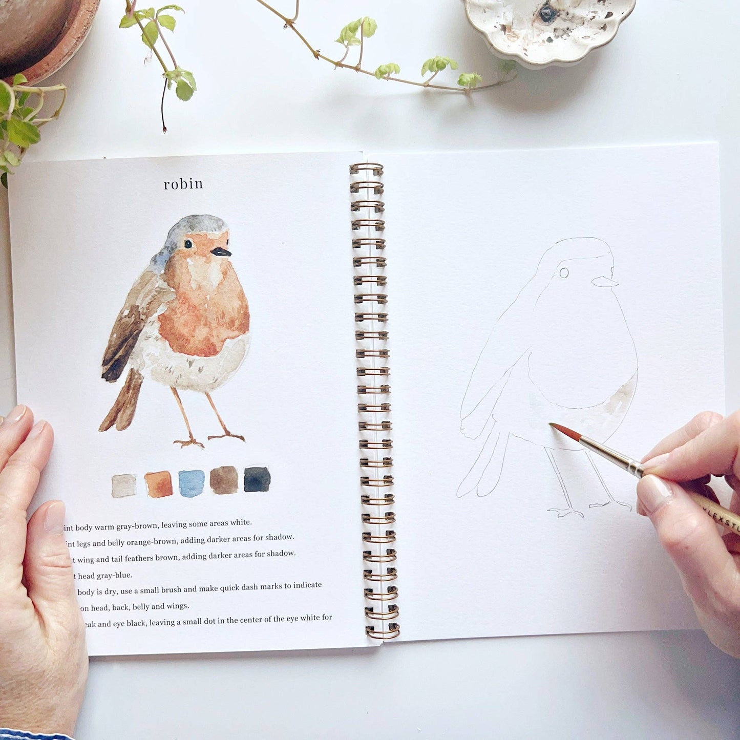 Birds watercolor workbook presale