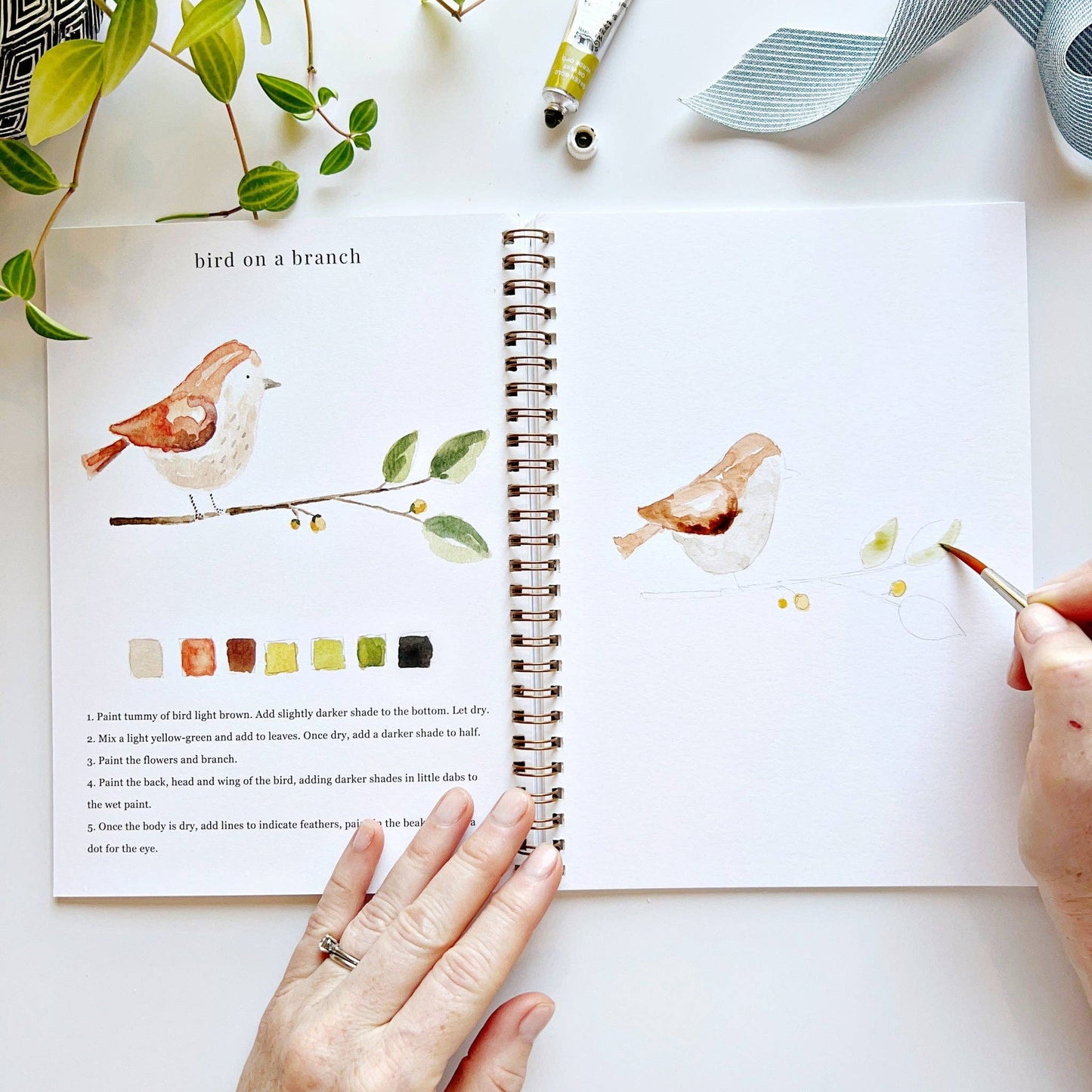 Animals watercolor workbook presale