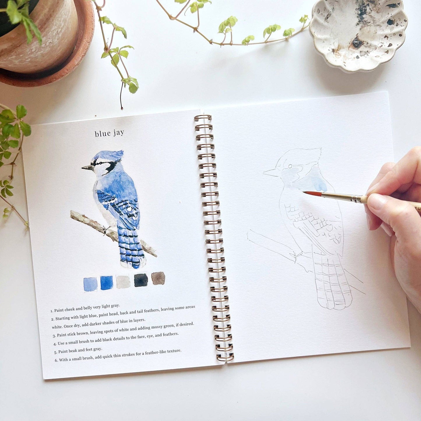 Birds watercolor workbook presale