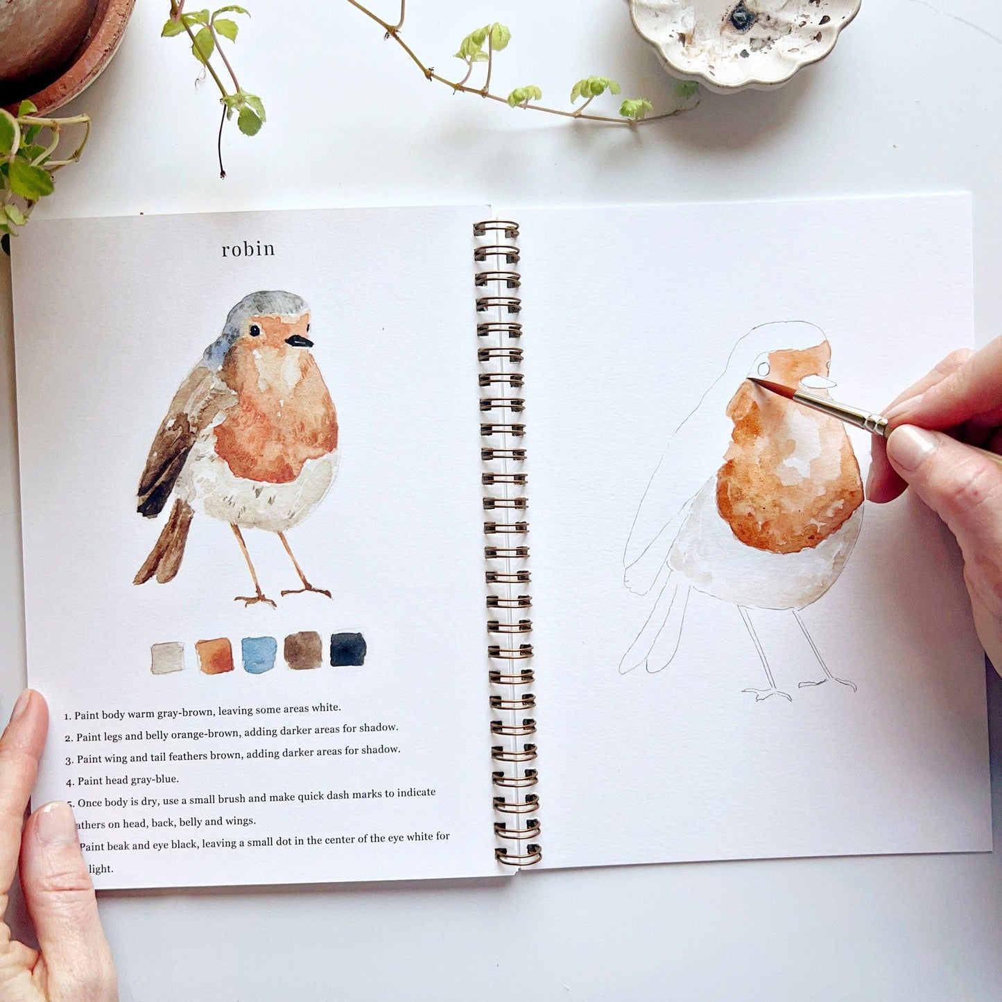 Birds watercolor workbook presale