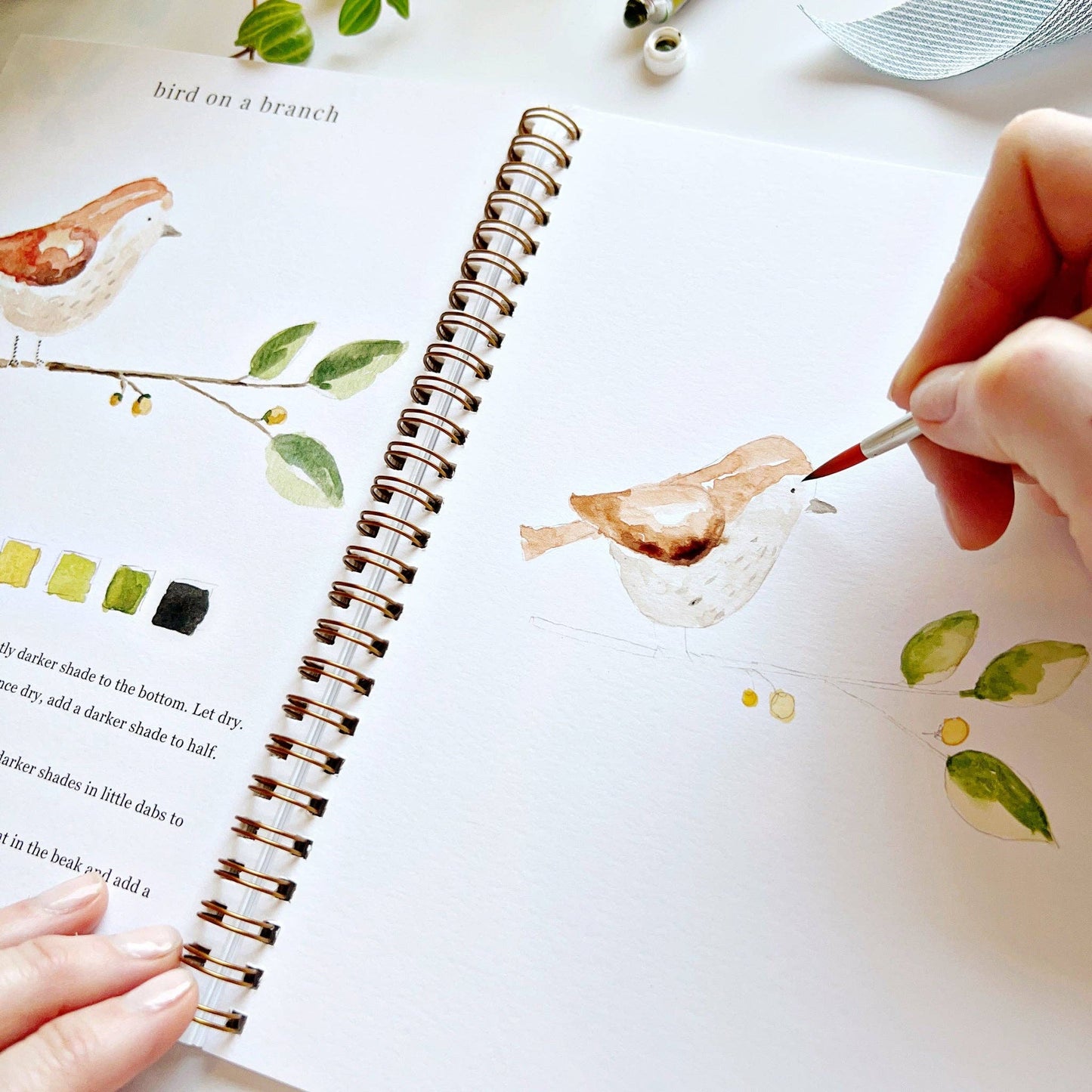 Animals watercolor workbook presale