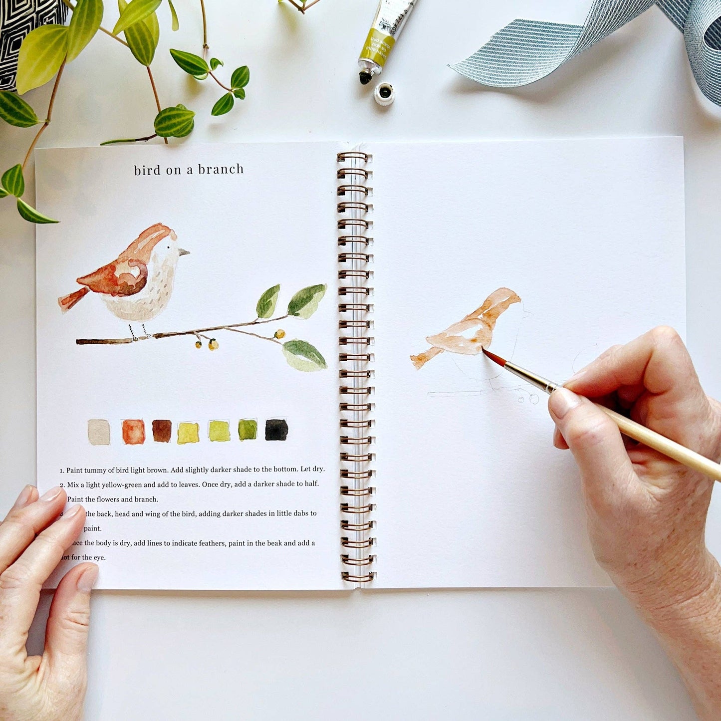 Animals watercolor workbook presale