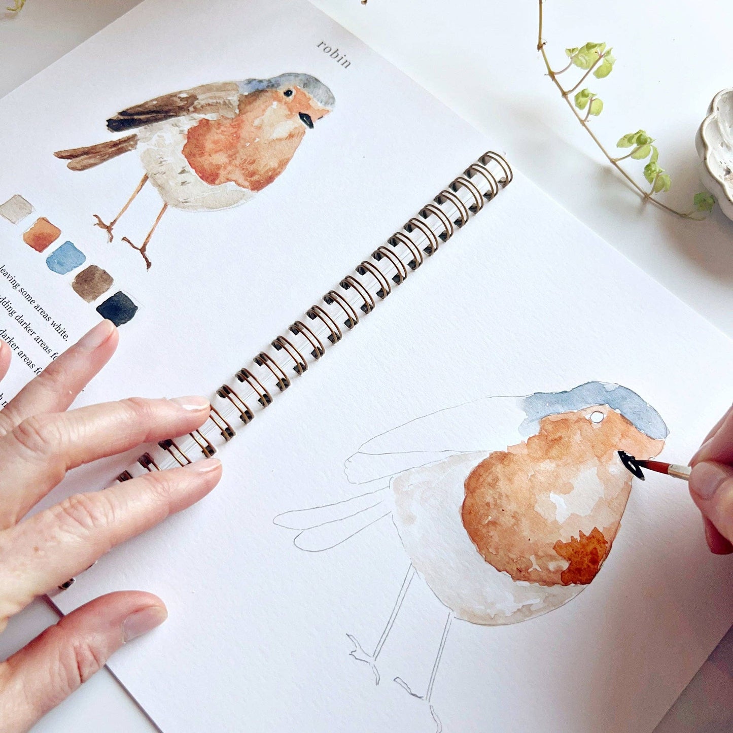 Birds watercolor workbook presale