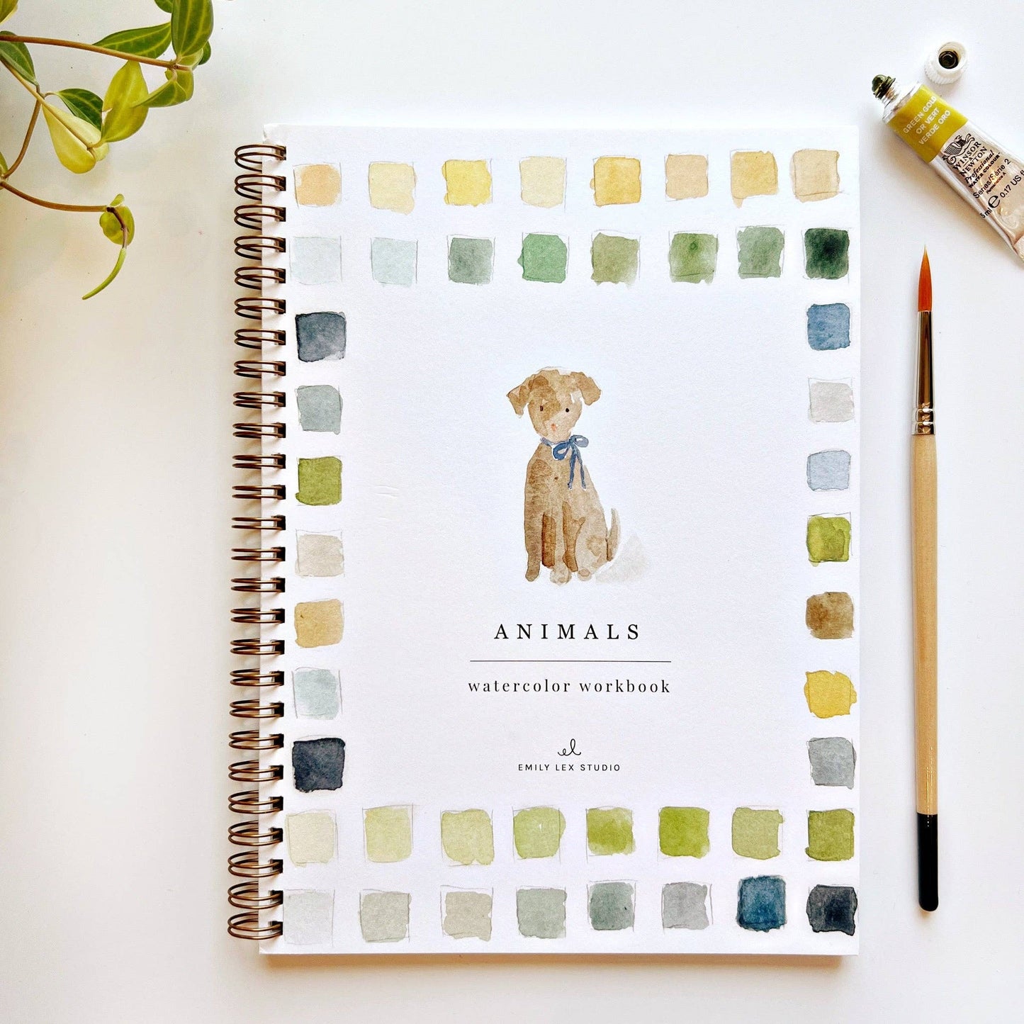 Animals watercolor workbook presale