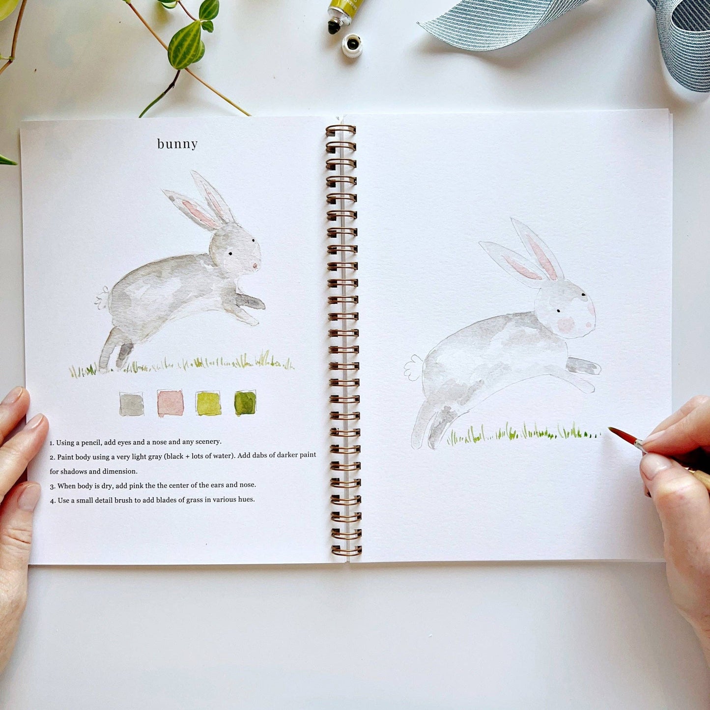 Animals watercolor workbook presale