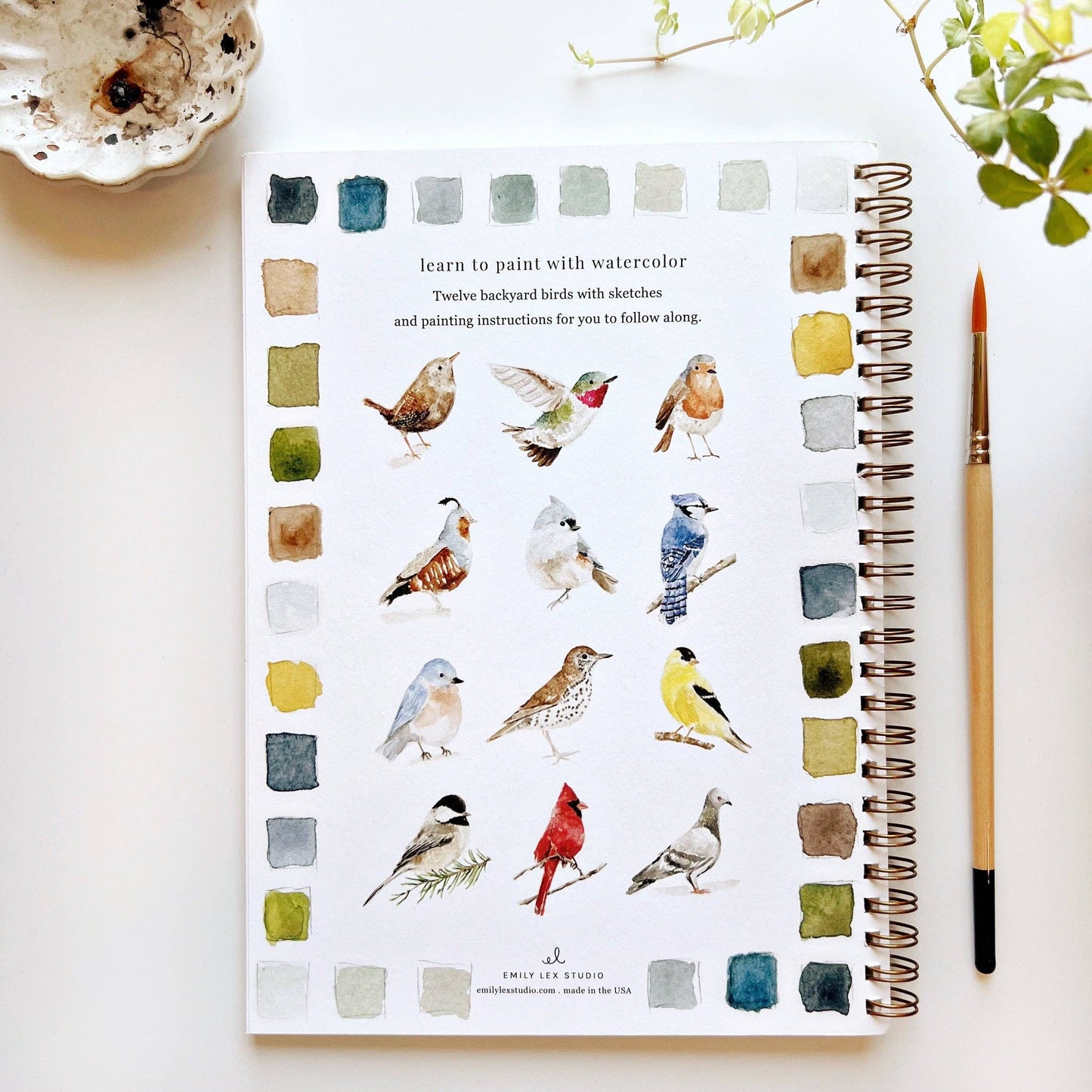 Birds watercolor workbook presale