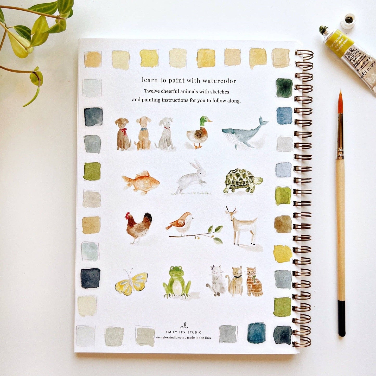 Animals watercolor workbook presale