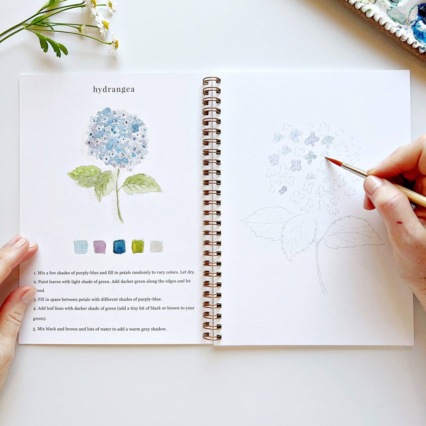 Flowers watercolor workbook presale