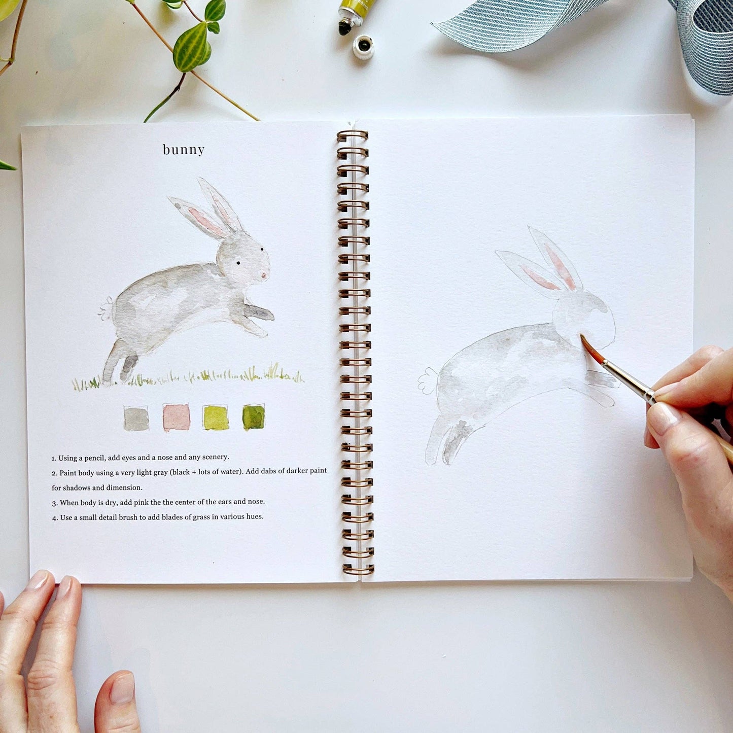 Animals watercolor workbook presale