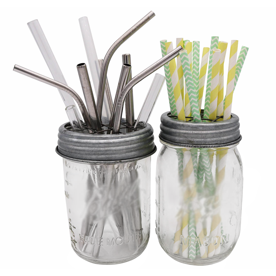 Galvanized Metal Flower Organizer Frog Lid for Mason Jars